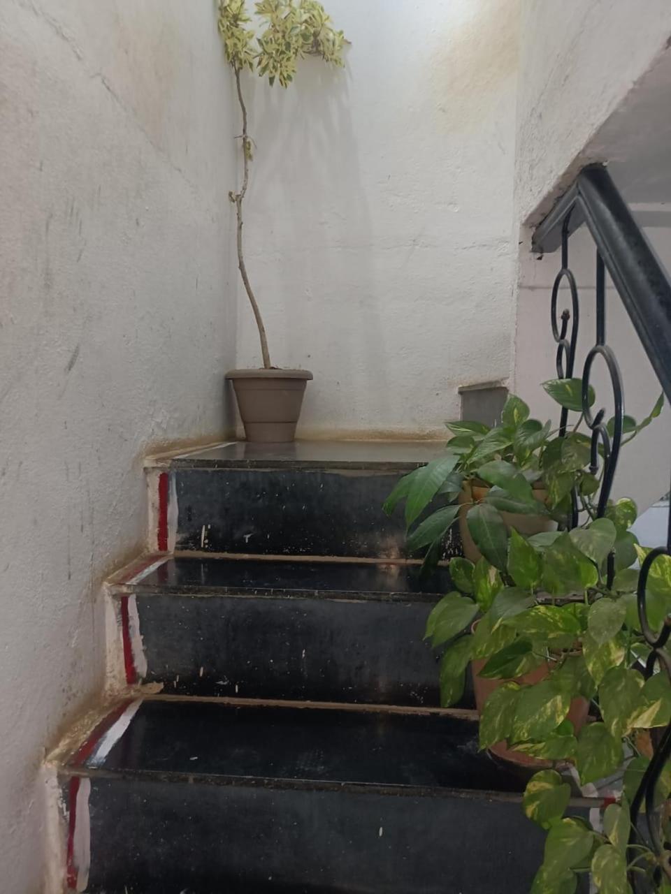 Bagol Palace Udaipur Dış mekan fotoğraf