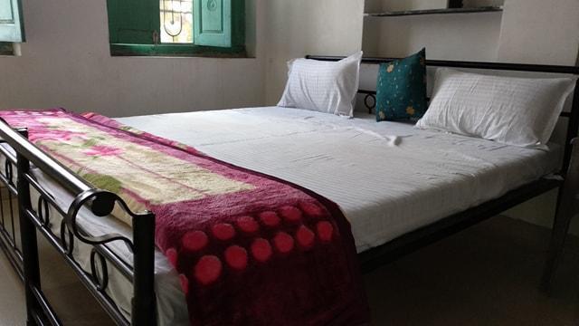 Bagol Palace Udaipur Dış mekan fotoğraf